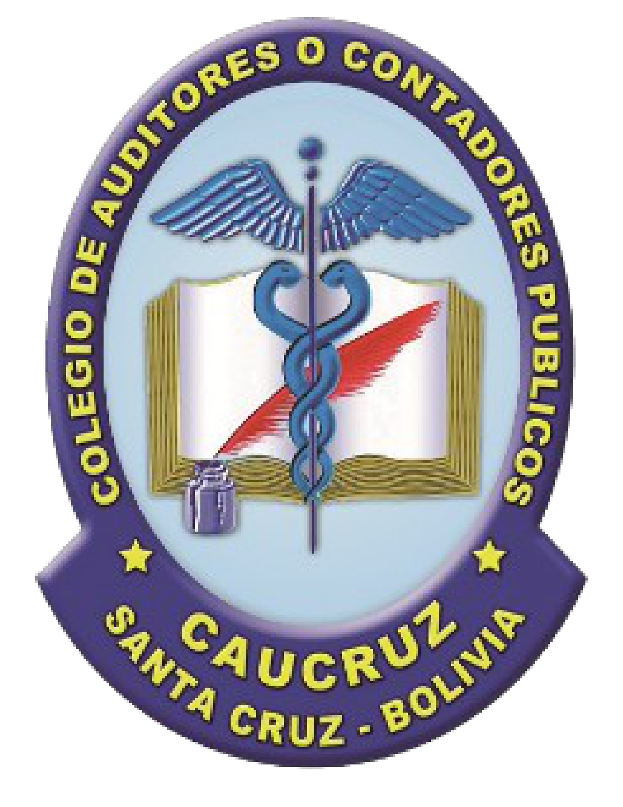Colegio de Auditores o Contadores Publicos de Santa Cruz 